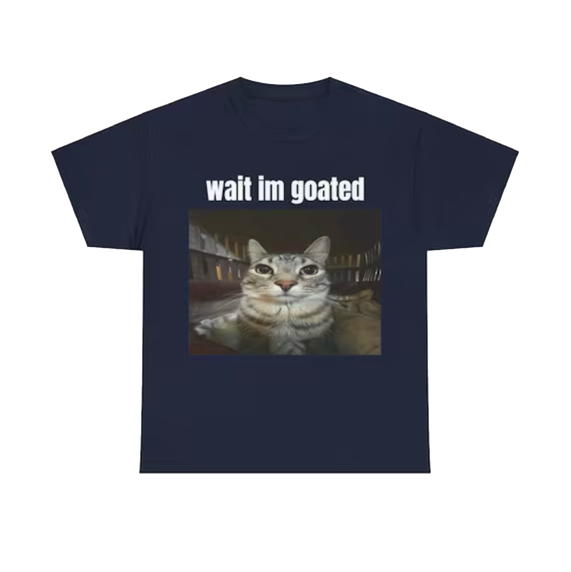 Cat Shirt